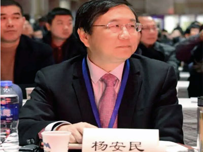 风生水起！杨安民董事长谈上海山美股份有限公司经营之道 //高端访谈