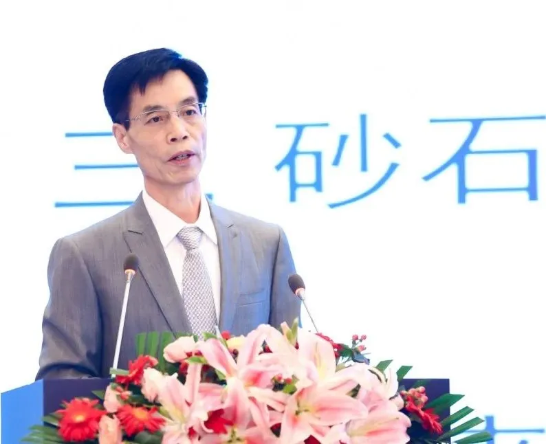 主旨报告 | 胡幼奕以国际化视角，提出固废综合利用和生态环境修复新思路